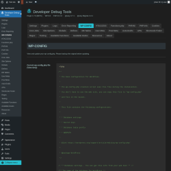 Page screenshot: Developer Debug Tools &rarr; WP-CONFIG