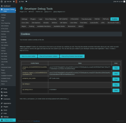 Page screenshot: Developer Debug Tools &rarr; Cookies