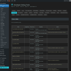Page screenshot: Developer Debug Tools &rarr; Cron Jobs