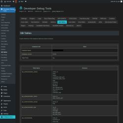 Page screenshot: Developer Debug Tools &rarr; DB Tables