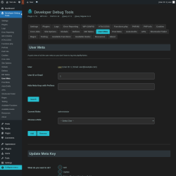 Page screenshot: Developer Debug Tools &rarr; User Meta