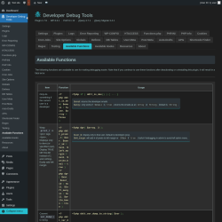 Page screenshot: Developer Debug Tools &rarr; Available Functions