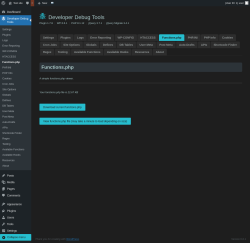 Page screenshot: Developer Debug Tools &rarr; Functions.php