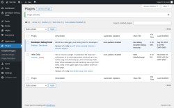 Page screenshot: Plugins