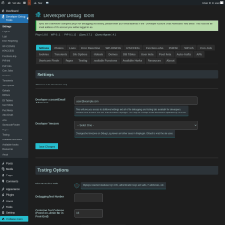Page screenshot: Developer Debug Tools