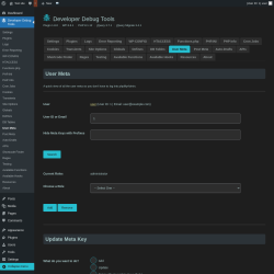 Page screenshot: Developer Debug Tools &rarr; User Meta