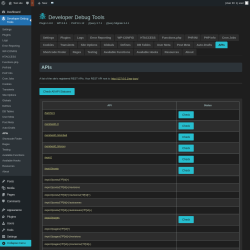 Page screenshot: Developer Debug Tools &rarr; APIs
