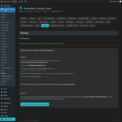 Page screenshot: Developer Debug Tools &rarr; Testing