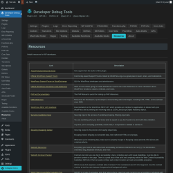 Page screenshot: Developer Debug Tools &rarr; Resources