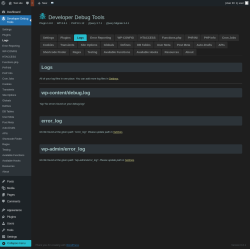 Page screenshot: Developer Debug Tools &rarr; Logs