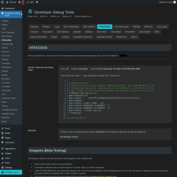 Page screenshot: Developer Debug Tools &rarr; HTACCESS