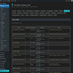 Page screenshot: Developer Debug Tools &rarr; Cron Jobs