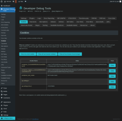 Page screenshot: Developer Debug Tools &rarr; Cookies