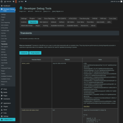 Page screenshot: Developer Debug Tools &rarr; Transients