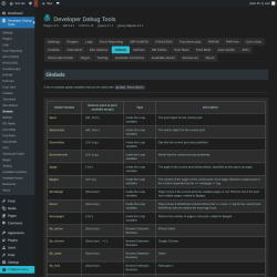 Page screenshot: Developer Debug Tools &rarr; Globals