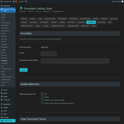 Page screenshot: Developer Debug Tools &rarr; Post Meta