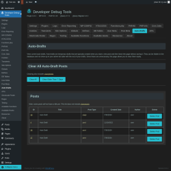 Page screenshot: Developer Debug Tools &rarr; Auto-Drafts