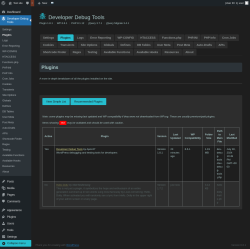 Page screenshot: Developer Debug Tools &rarr; Plugins