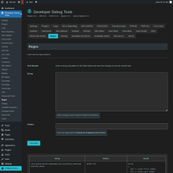 Page screenshot: Developer Debug Tools &rarr; Regex