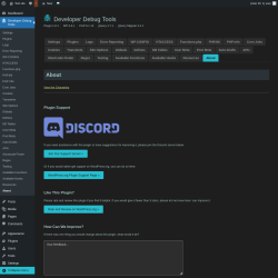 Page screenshot: Developer Debug Tools &rarr; About