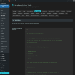 Page screenshot: Developer Debug Tools &rarr; WP-CONFIG
