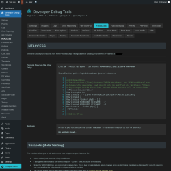 Page screenshot: Developer Debug Tools &rarr; HTACCESS