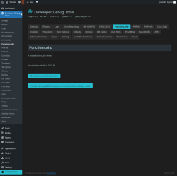 Page screenshot: Developer Debug Tools &rarr; Functions.php