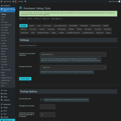 Page screenshot: Developer Debug Tools