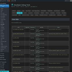 Page screenshot: Developer Debug Tools &rarr; Cron Jobs