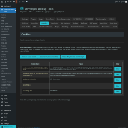Page screenshot: Developer Debug Tools &rarr; Cookies