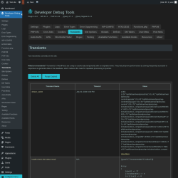 Page screenshot: Developer Debug Tools &rarr; Transients