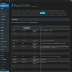 Page screenshot: Developer Debug Tools &rarr; Globals