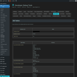 Page screenshot: Developer Debug Tools &rarr; DB Tables