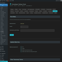 Page screenshot: Developer Debug Tools &rarr; Post Meta