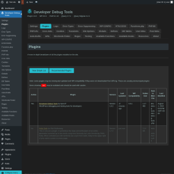 Page screenshot: Developer Debug Tools &rarr; Plugins