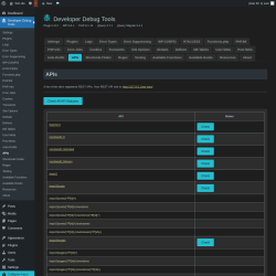 Page screenshot: Developer Debug Tools &rarr; APIs