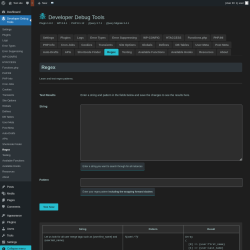 Page screenshot: Developer Debug Tools &rarr; Regex