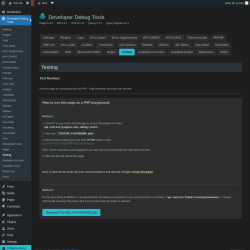 Page screenshot: Developer Debug Tools &rarr; Testing