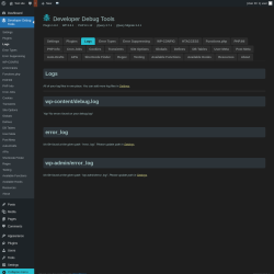 Page screenshot: Developer Debug Tools &rarr; Logs