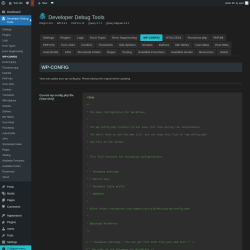 Page screenshot: Developer Debug Tools &rarr; WP-CONFIG