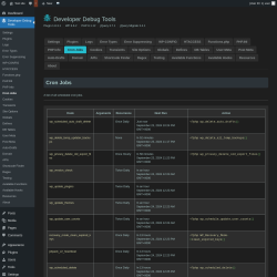 Page screenshot: Developer Debug Tools &rarr; Cron Jobs