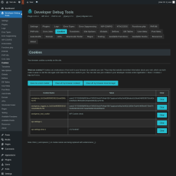 Page screenshot: Developer Debug Tools &rarr; Cookies