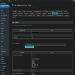 Page screenshot: Developer Debug Tools &rarr; DB Tables