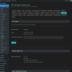 Page screenshot: Developer Debug Tools &rarr; Post Meta