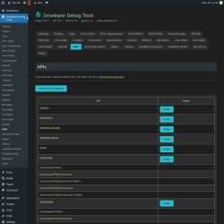 Page screenshot: Developer Debug Tools &rarr; APIs