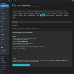 Page screenshot: Developer Debug Tools &rarr; Testing