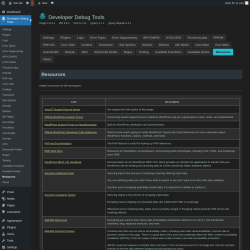 Page screenshot: Developer Debug Tools &rarr; Resources