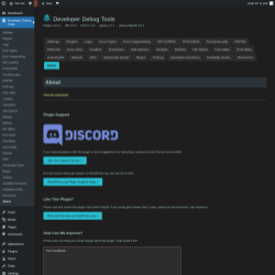 Page screenshot: Developer Debug Tools &rarr; About