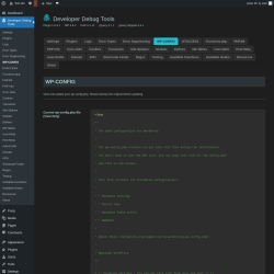 Page screenshot: Developer Debug Tools &rarr; WP-CONFIG