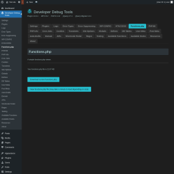 Page screenshot: Developer Debug Tools &rarr; Functions.php